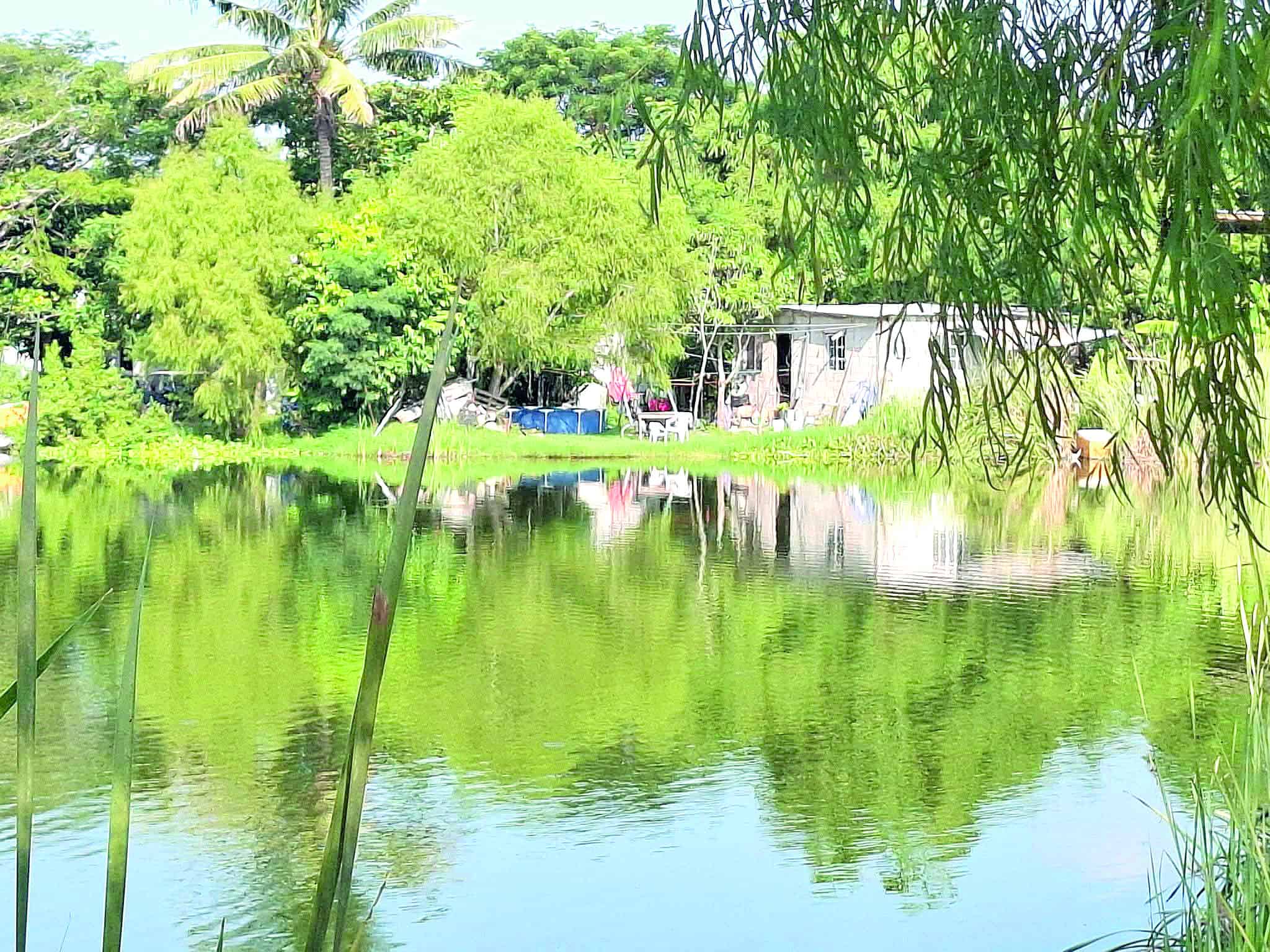 Alertan por tapado de lagunas en Altamira