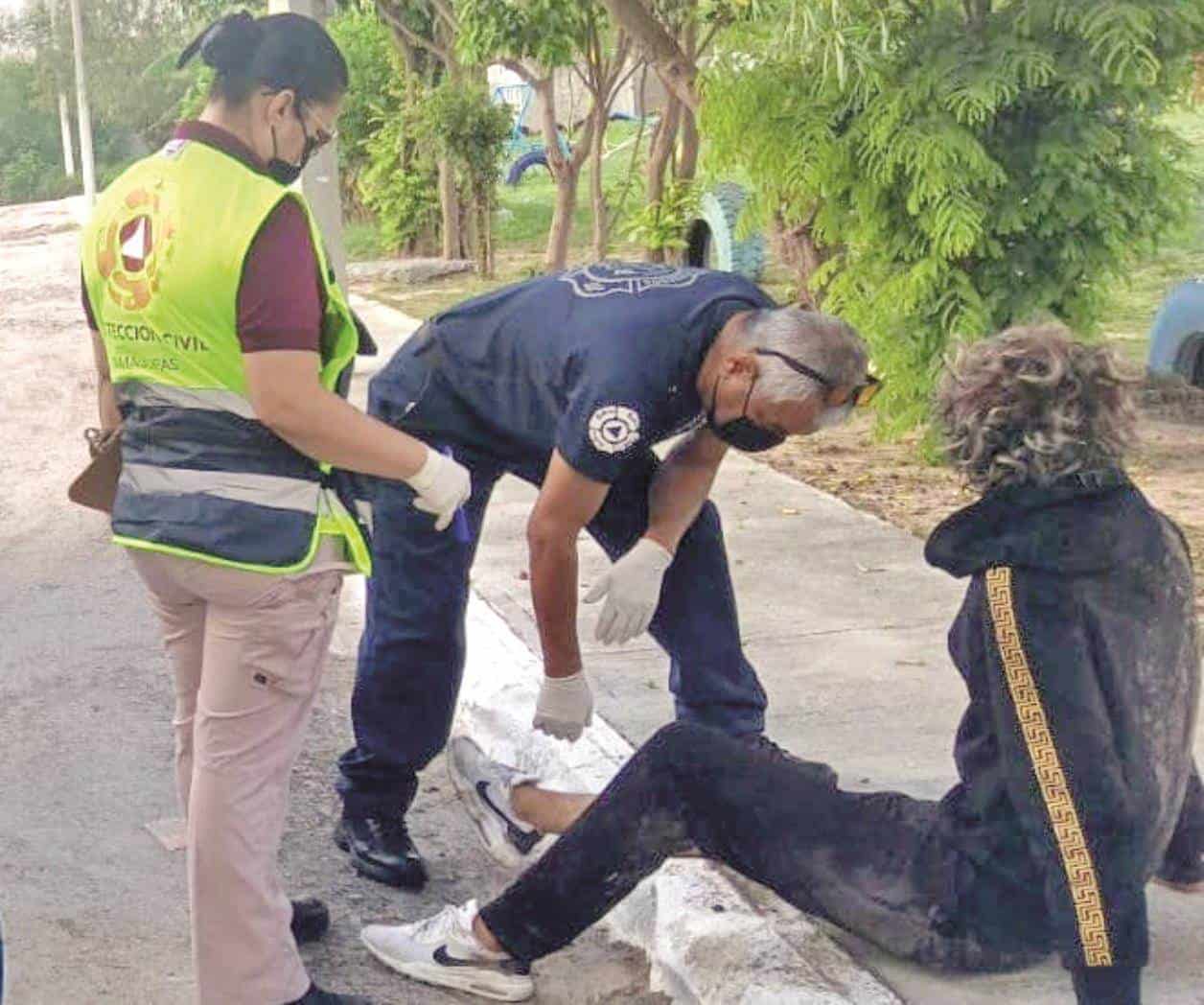 Enjambre de abejas atacan a un hombre