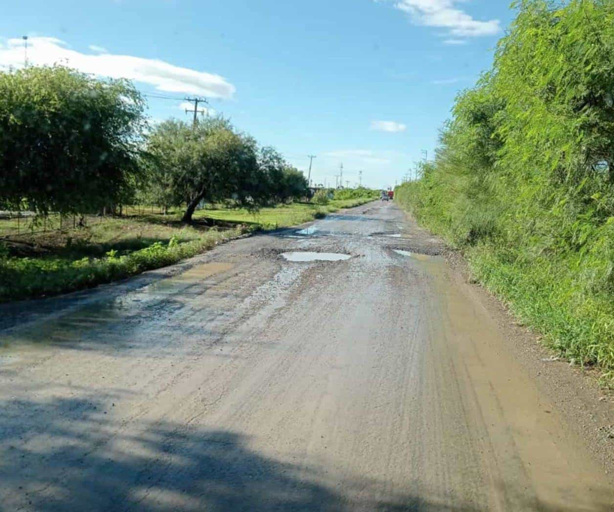 Vecinos realizan mantenimiento a las vialidades