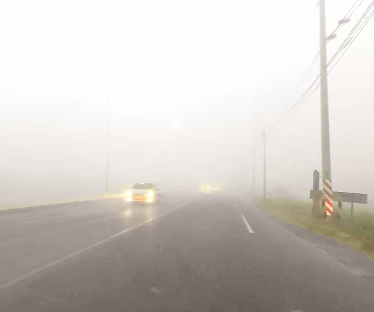 Bancos de niebla afectan carreteras