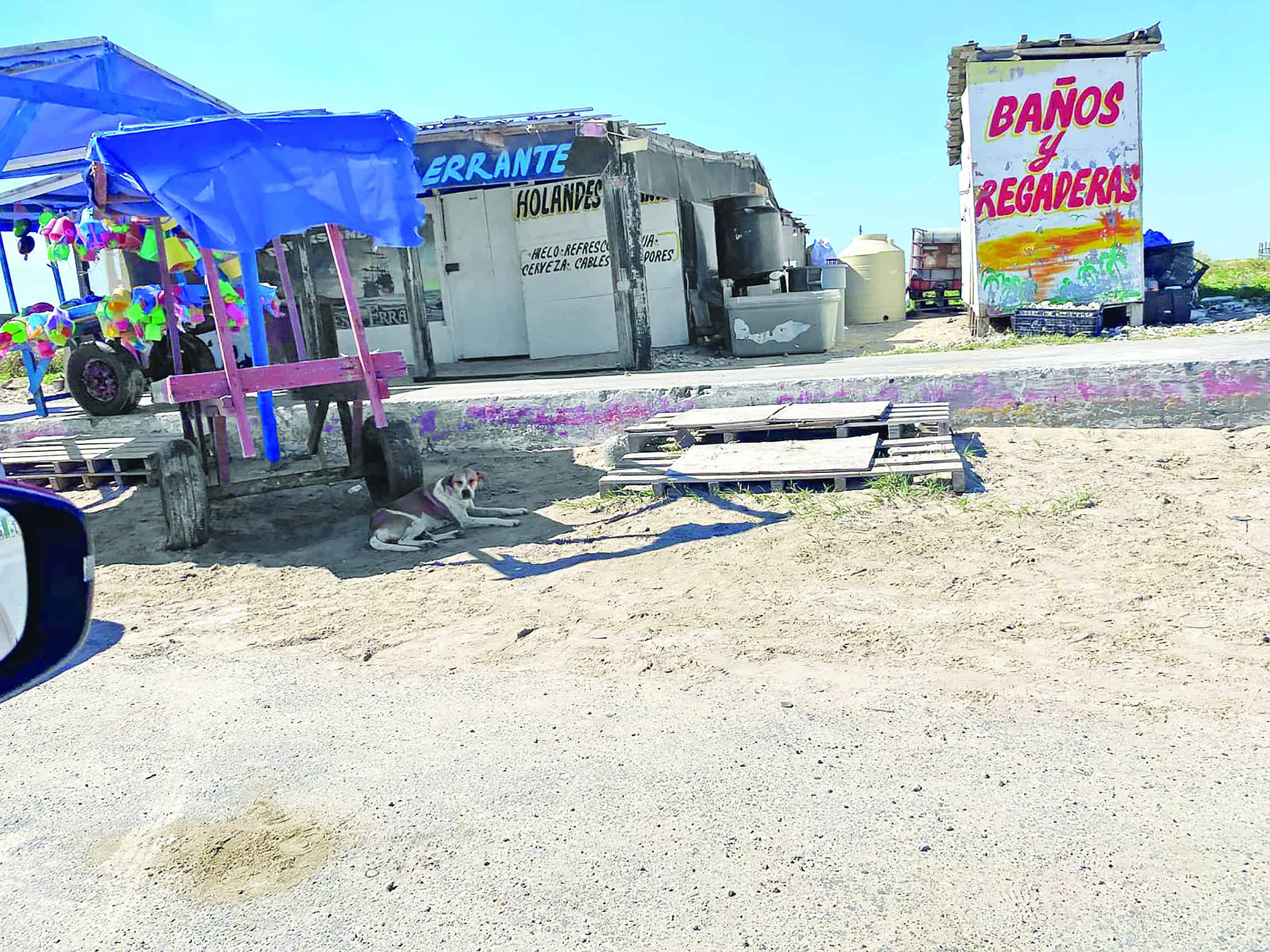 Inicia campaña de esterilización en Matamoros